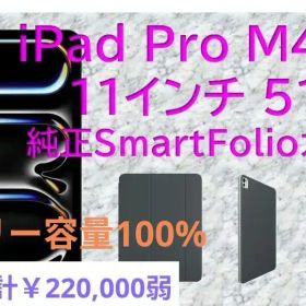 【美品】iPad Pro 11inch M4 512GB +SmartFolio