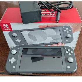 ニンテンドースイッチ(Nintendo Switch)のNintendo Switch Lite グレー(家庭用ゲーム機本体)