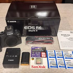 【美品】Canon EOS R6 Mark2 防湿庫保管 ★即日発送★