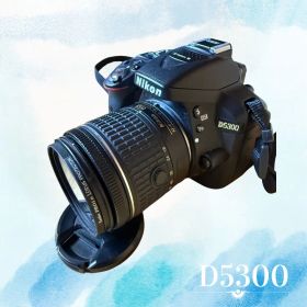 【値引き交渉承ります】Nikon D5300 デジタル一眼レフカメラ