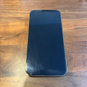 Apple iPhone 12 Pro 本体