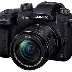 【中古】(非常に良い)パナソニック ミラーレス一眼カメラ ルミックス GH5 レンズキット 標準ズームレンズ付属 ブラック DC-GH5M-K