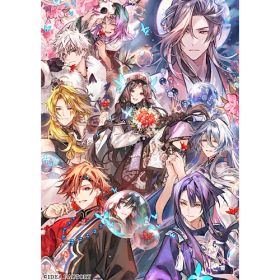 [2026年04月23日発売予約][ニンテンドースイッチ ソフト] マツリカの炯-kEi- 天命華燭伝 特装版 [MKTK-26151] *初回封入特典付