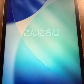 iPadPro12.9インチ（第4世代）256GB スペースグレイ セルラー