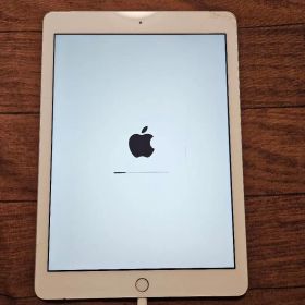 Apple iPad (第5世代) 32GB ジャンク品