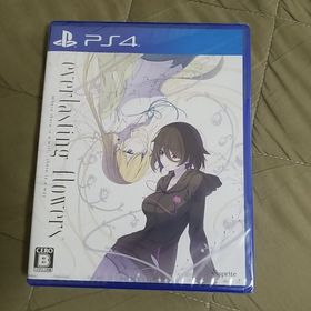 プレイステーション4(PlayStation4)のPS4 everlasting flowers(家庭用ゲームソフト)