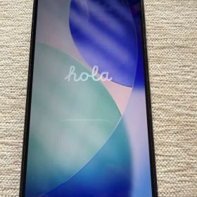 【極美品】iPhone 13 ProMAX 1TB シエラブルー