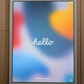 Apple iPad mini 4 7.9(2015年モデル) 新品¥25,926 中古¥4,500 | 新品