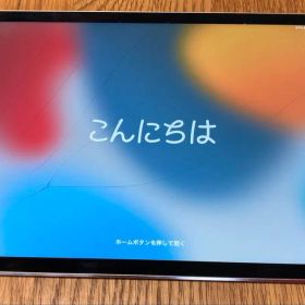 【本体】iPad mini 4 Wi-Fi 128GB