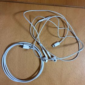 Earpods Lightning型&USBケーブル Lightning