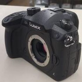 ミラーレス一眼ボディ DC-GH5 PANASONIC