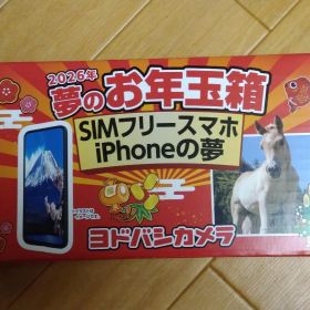 2026年 お年玉箱 iPhone 16 ホワイト 512GB SIMフリー