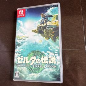 ゼルダの伝説 ティアーズ オブ ザ キングダム