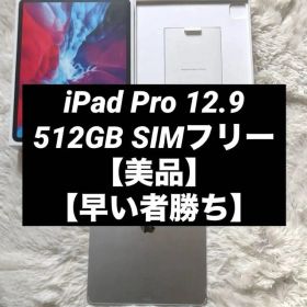 【値下げ不可】iPad Pro 12.9 第4世代 512GB 【すぐ発送】
