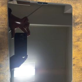 iPad Pro 第4世代 12.9インチ256GB Cellularモデル