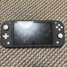 Nintendo Switch Lite グレー 本体 ジャンク