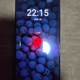 Xiaomi Mi11 Lite 5G Truffle black シャオミ