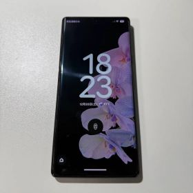 【美品】Google Pixel 6 pro ブラック ケース付き