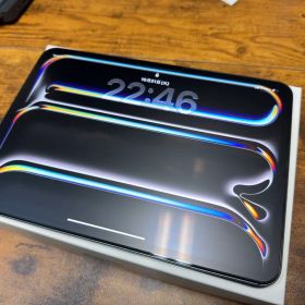 Apple iPad Pro M4 11インチ スペースグレー 保証あり
