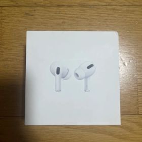 Apple AirPods Pro 本体