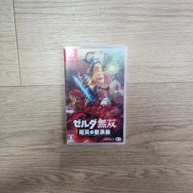 ゼルダ無双 厄災の黙示録