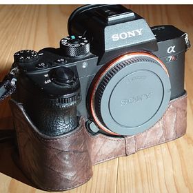 ソニー(SONY)のSony α7r iii(ミラーレス一眼)