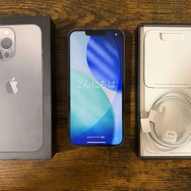Apple iPhone 13 Pro グラファイト 256GB