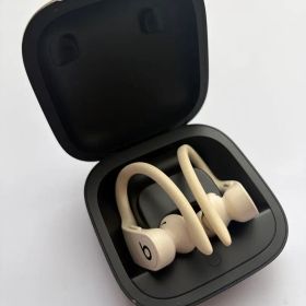 Powerbeats Pro パワービーツプロ ワイヤレス イヤホン