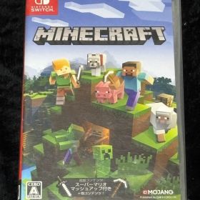 【お年玉】動作確認済 Nintendo Switch マインクラフト