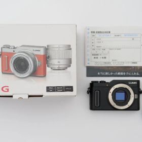 Panasonic LUMIX DC-GF10W ＳＤカード付き