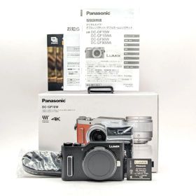 美品 Panasonic LUMIX DC-GF10 ブラック (レンズ無し)