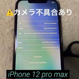 【容量512GB】iPhone 12 pro max