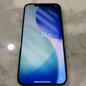 【早い者勝ち！！】Apple iPhone 12PRO MAX 128GB