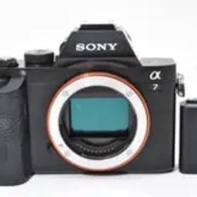 ショット数: 14659回 SONY α7 ボディ ILCE-7 #1049