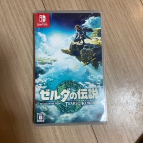 ゼルダの伝説 ティアーズ オブ ザ キングダム