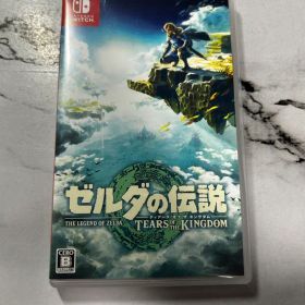 ゼルダの伝説 ティアーズ オブ ザ キングダム Switch