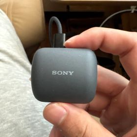 SONY WF-L900 ワイヤレスイヤホン 値段交渉お待ちしてます