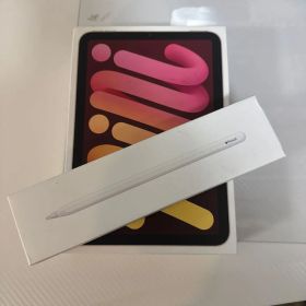 極美品 iPad mini セルラー5G対応 256GB Aペンセット100%