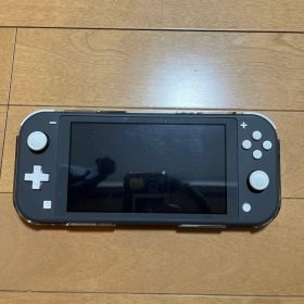 Nintendo Switch Lite グレー 本体 ケース付き