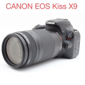 CANON EOS Kiss X9望遠レンズセット/EF 75-300mm