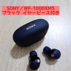 ソニー WF-1000XM5 ブラック ワイヤレスイヤホン SONY 黒