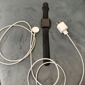 Apple Watch 第一世代 42mm A1554