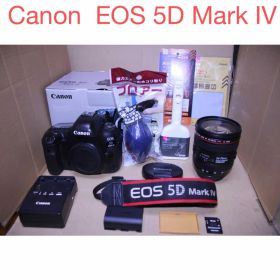 Canon EOS 5D Mark IV/EF 24-70㎜F4L IS USM