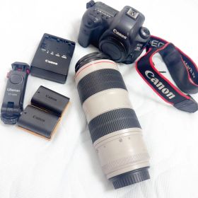 canon EOS 5D Mark IV , 70-200mm 2.8 IS Ⅲ