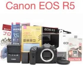 付属品満載 元箱 ミラーレス一眼レフカメラ/キヤノン Canon EOS R5