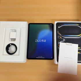 ◎【バッテリー100%】Apple iPad Pro 11インチ M4 Wi-Fi 256GB 第5世代 MVV83J/A