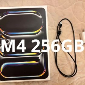 11インチ iPad Pro M4 256GB Wi-Fi