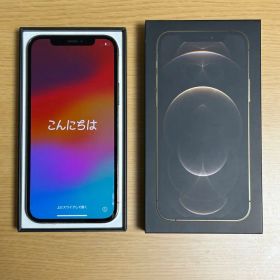 iPhone 12 Pro 256GB SIMフリー 本体 外カメラ不良あり