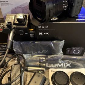 パナソニックLUMIX DC-GH5S 本体レンズセット