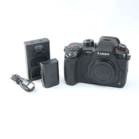 パナソニック Panasonic LUMIX DC-GH5S ミラーレス一眼カメラ 【シャッター数1680回】